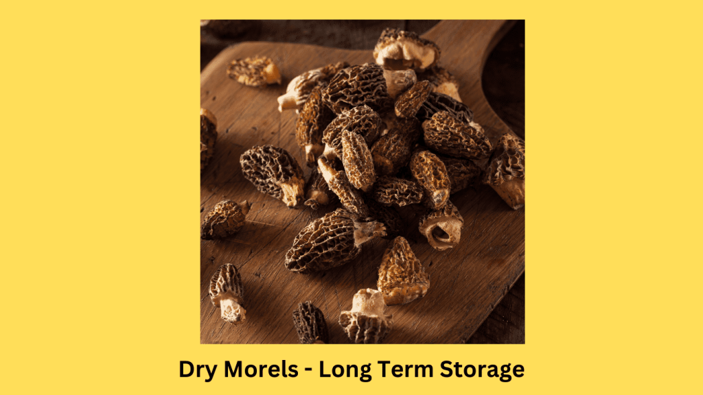 Dry Morels