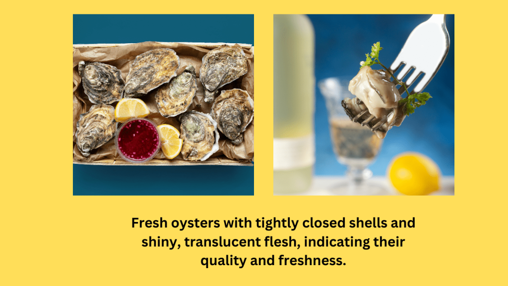 Fresh Oysters.png