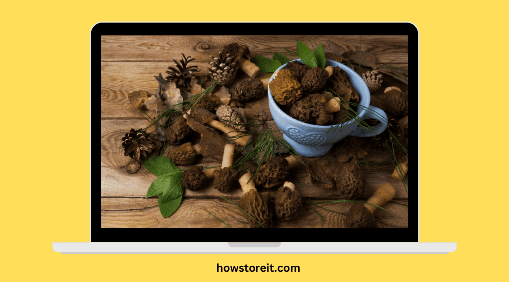 How to Store fresh morels