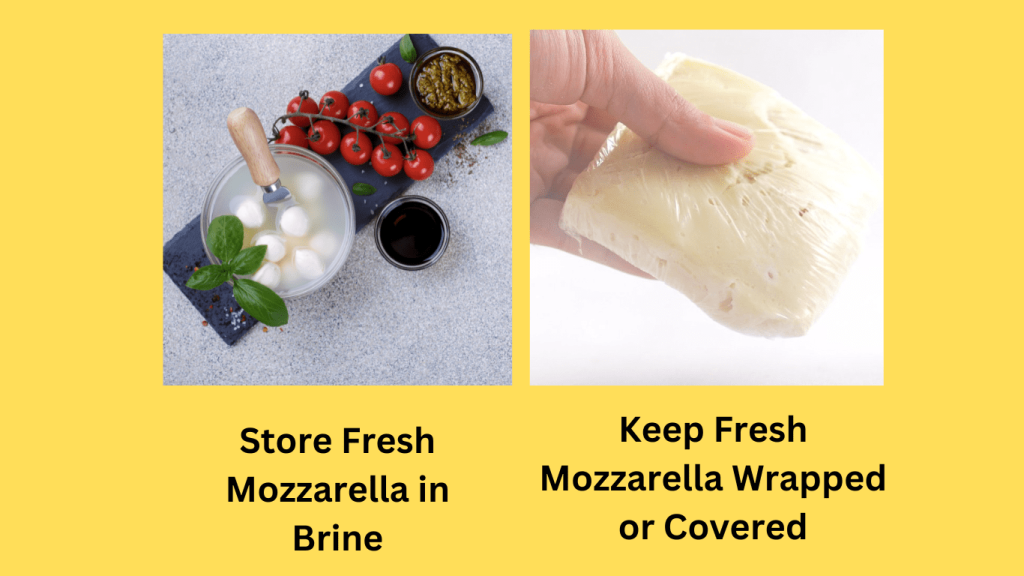 Wrapped Fresh Mozzarella and in brine