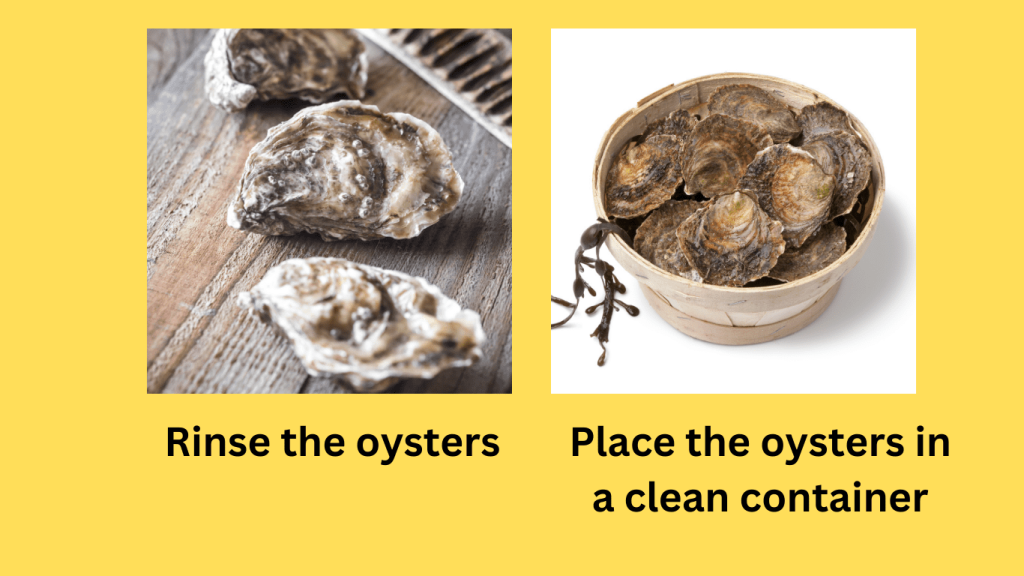 storing fresh oysters or maintaining their quality and flavor.png