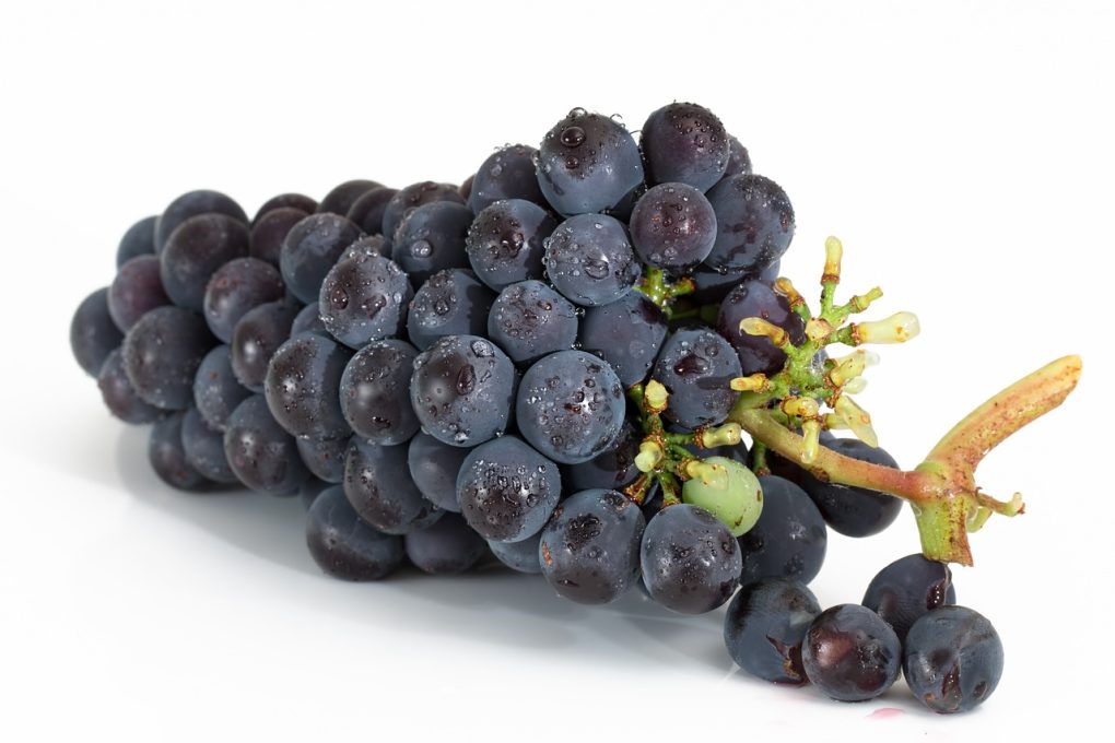 grapes, bunch, fruits-2032838.jpg