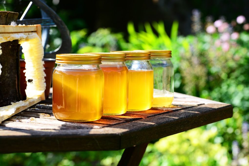 honey, jars, nature-352205.jpg